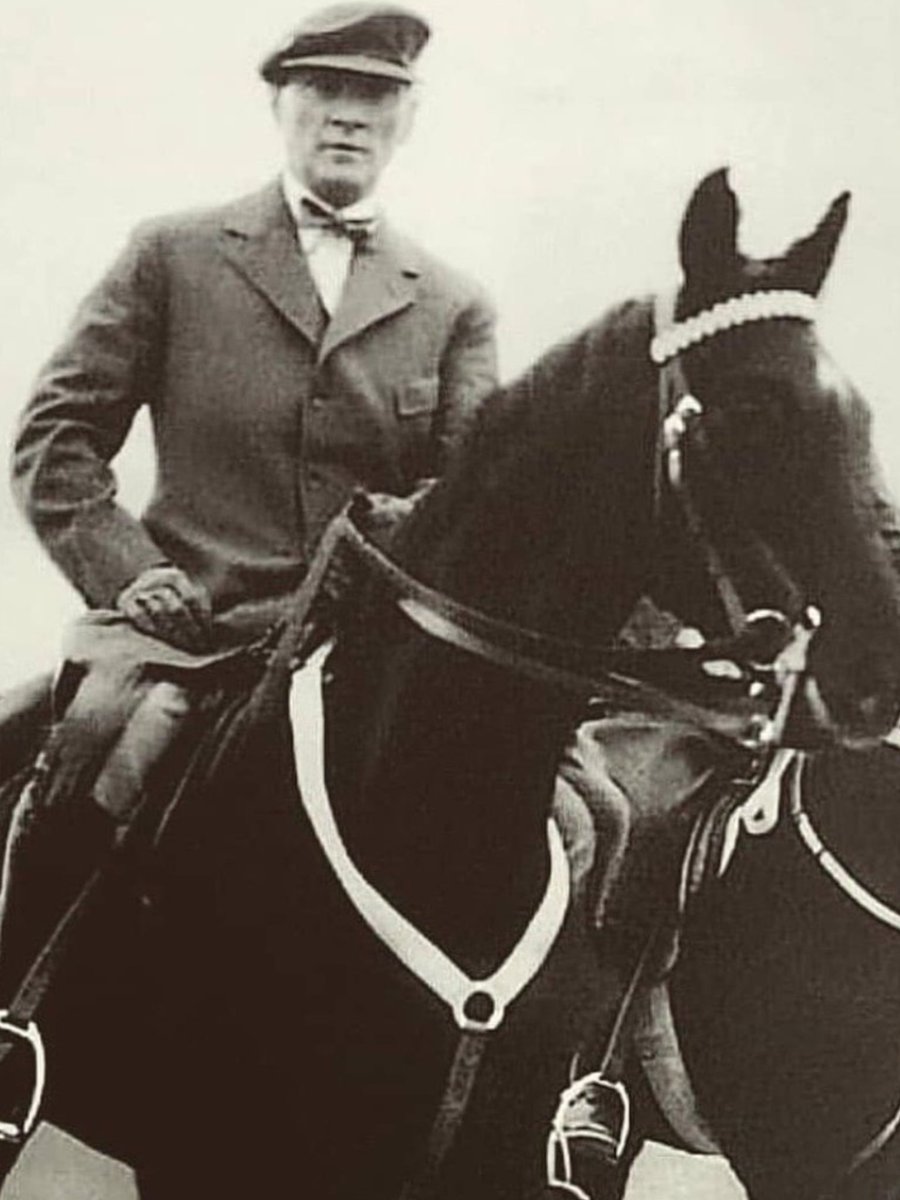 YurttaBarış DünyadaBarış tweet media