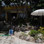 ツイートに含まれる画像