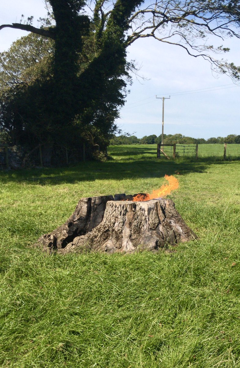 Dylancastellior's tweet photo. Cig Oen Cymru 🏴 #LambDay 1af Awst/1st August #CigOen #welshlamb @HybuCigCymru @FLAMEBASTER @WelshLamb_PGI #BBQ #bbqboncyff👌🏻👌🏻👌🏻👌🏻 https://t.co/QhsePcsdta