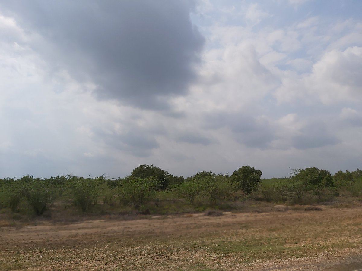 khadijabaxsan's tweet photo. Devolution (2/2): Despite having such arrable land and water, the region was branded unproductive. Folks dev changed the narrative for us. We're seeing locals thriving and owning property. Tapped water. Services brought close home. Jobs created #devworks @FCDCKenya @Devolution254 https://t.co/dWP8QgC2YJ