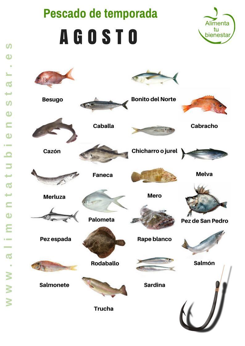 PescaderiaRial's tweet photo. Hoy estrenamos mes. Aquí os dejamos el pescado de la temporada.
Recuerda que consumir de temporada, ayuda a una pesca sostenible.
#somosloquecomemos
#BienvenidoAgosto ⚓💙 https://t.co/dx8nWTk3zB
