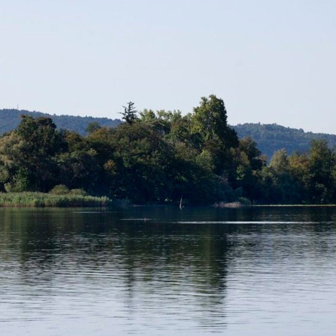 L’isolino Virginia riapre al pubblico! Da oggi, il patrimonio Unesco sul lago di #Varese sarà di nuovo visitabile. Ripartiamo anche dalle bellezze del nostro territorio, valorizziamo i nostri fiori all'occhiello!