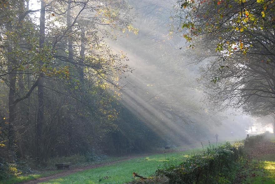 Cuaderno de Cultura Científica tweet media