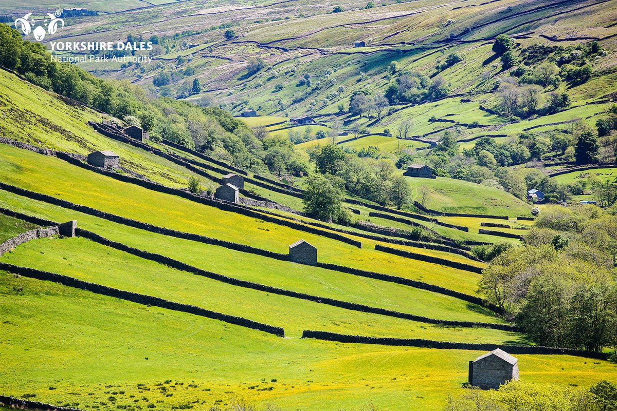 Yorkshire Dales National Park tweet media