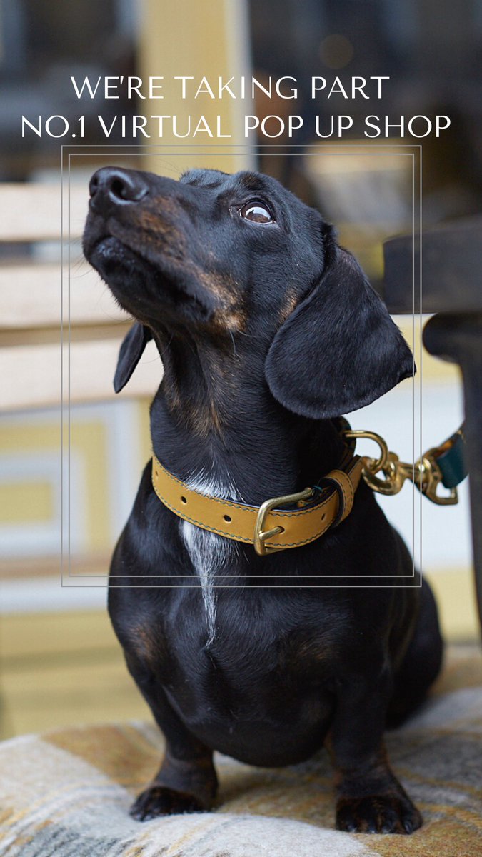 opari_design's tweet photo. We’re taking part in @No1magazine Virtual Pop Up Shop. Find us in their gift guide! #no1forshopping #onlineshopping #giftguide #dogs #gifts #popup #event #stylish  #doglovers #dogmom #doglife #dogcollars https://t.co/3RXx7qC5XH