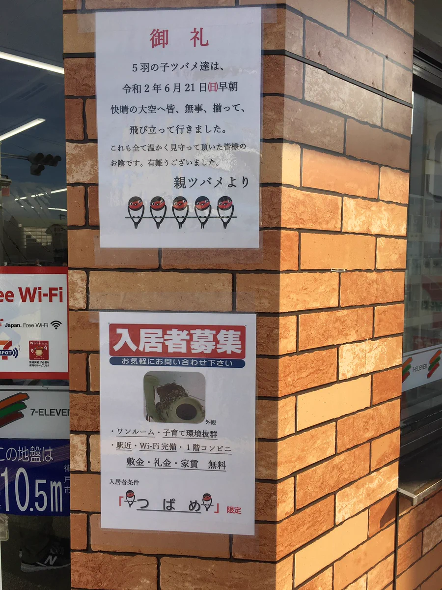 家賃０円！？◯◯◯限定の、夢のような物件がこちら！