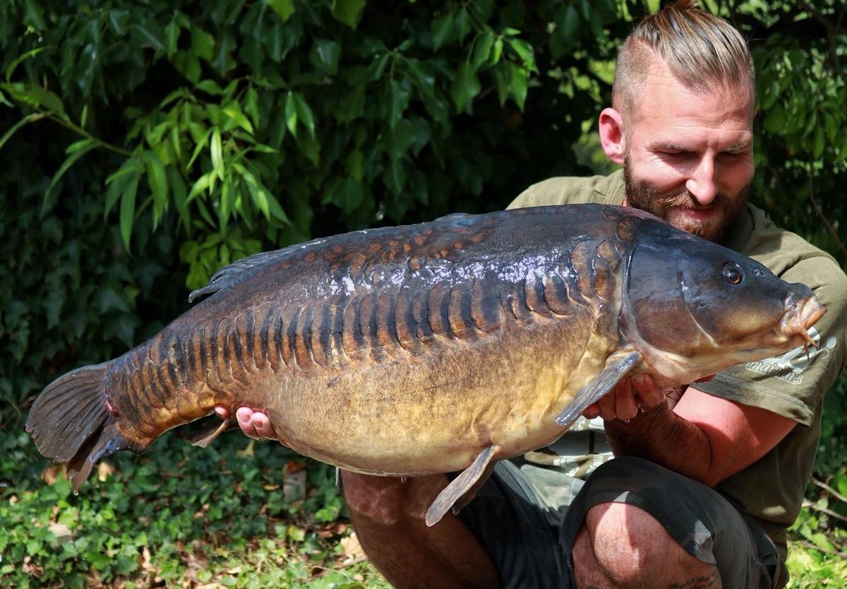 Dave Rowe has been after a 30lb+ fish from Farlows for a long time and last week he managed three in one session. PB Mirror 35lb+, a PB Common at 33lb 12oz and the sought after ‘Cut Tail Lin’ at 34lb 8oz. His successful bait was IB Wafters boosted with Fruit Smart Liquid!