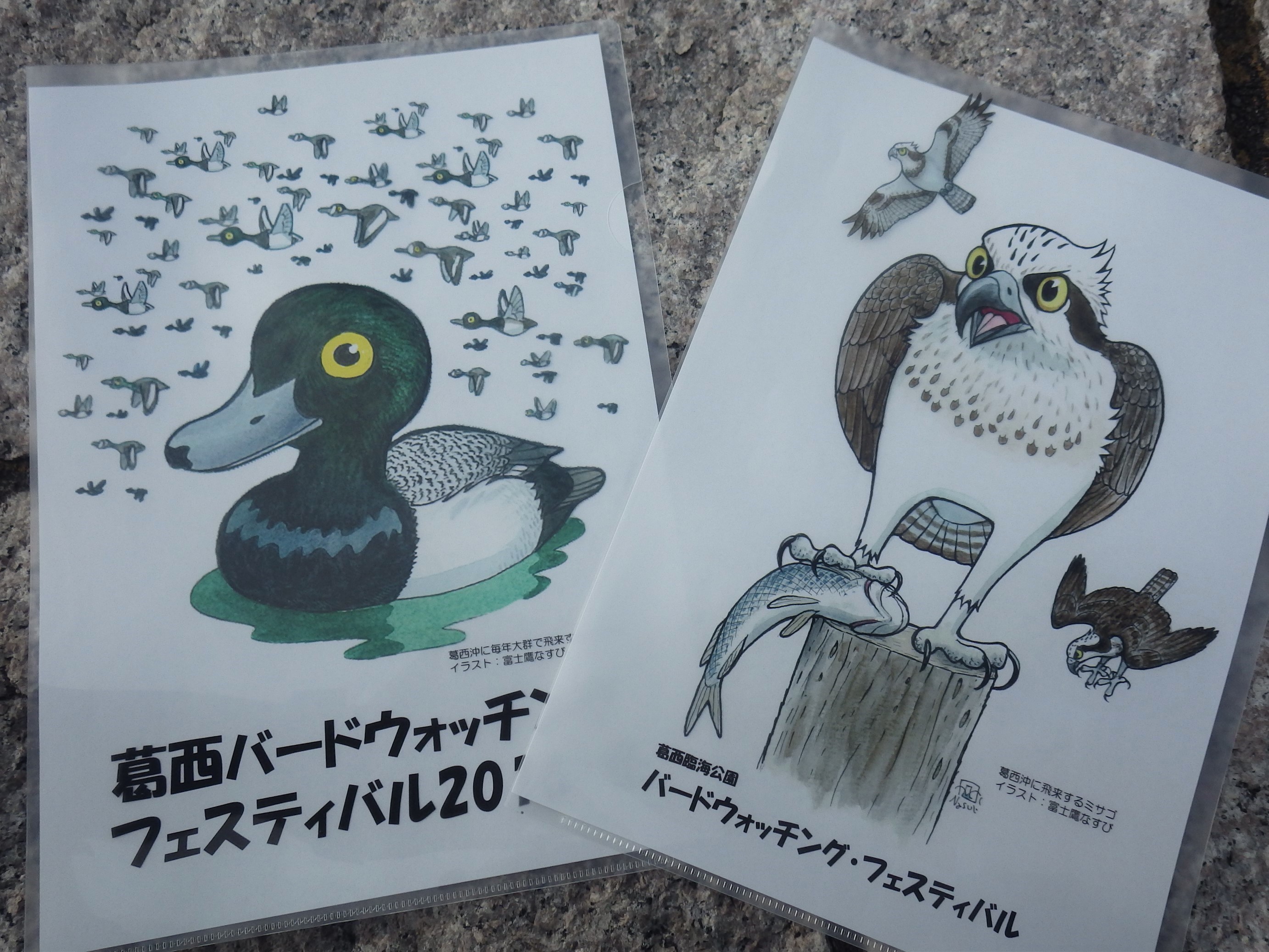 葛西臨海公園鳥類園スタッフ Twitter開催記念 8 鳥類園をフォローしてくれた人に鳥類園限定クリアファイルを1枚プレゼント フォローしたら鳥類園スタッフにフォロー画面を見せて スズガモかミサゴのどちら1つを選んでね すぐにフォロー