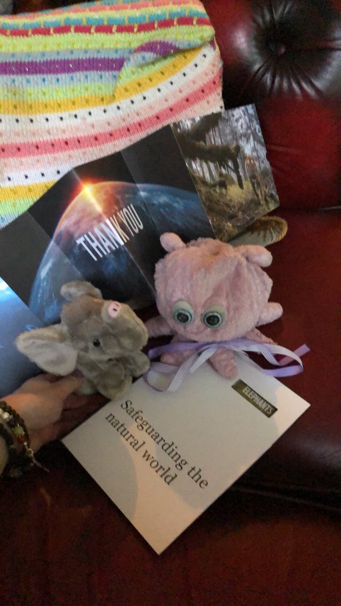 PinkThingPT's tweet image. Just sponsored an elephant 🐘 🐙🎉