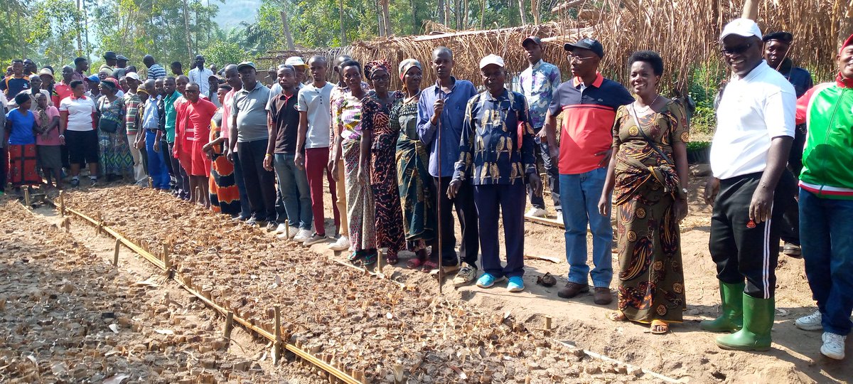GabbyBugaga's tweet photo. #Burundi Abenegihugu ba #Muhuta barikumwe na Nitunga Consolateur Bulamatali wa @RumongeProvince bitavye ibikorwa rusangi Ku musozi wa #Gatwenzi zone #Muhuta na #Rubura zone #Busenge mu gutegura imbuto z'ibiti zibana n'imirima, bakayakora mu bihubahuba ngo bakingire isi https://t.co/I5EPjpY32m