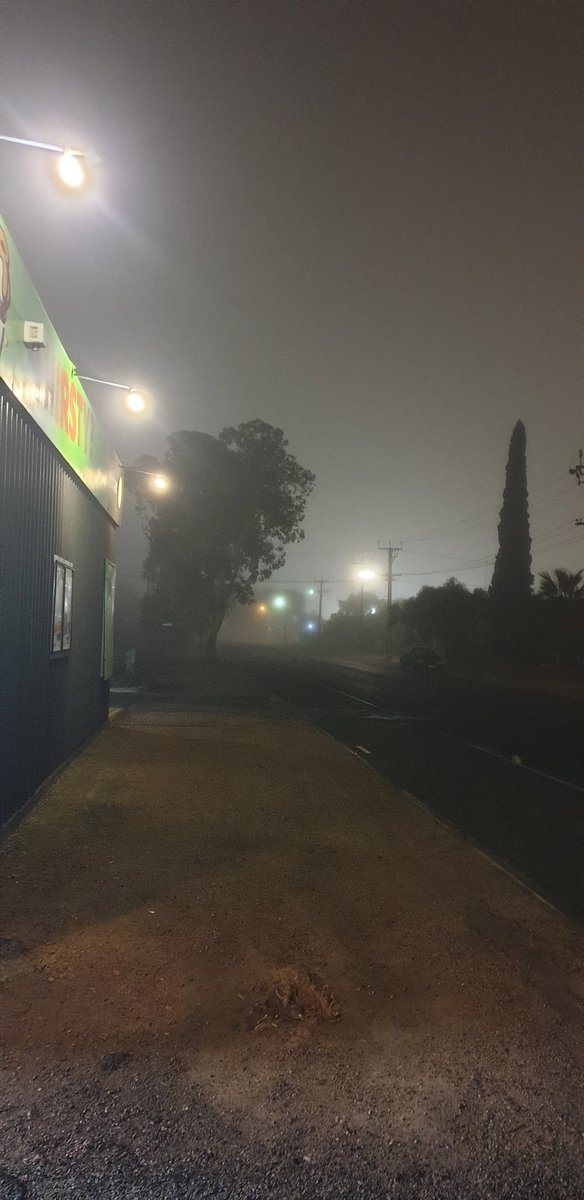 ReaperRedcap's tweet image. Wow guys. We've had some foggy mornings and in this case, foggy nights. Amazing feels even if i'm freezing my ass off 🥶👌

#Australian #WinterGarden #EPIC2020