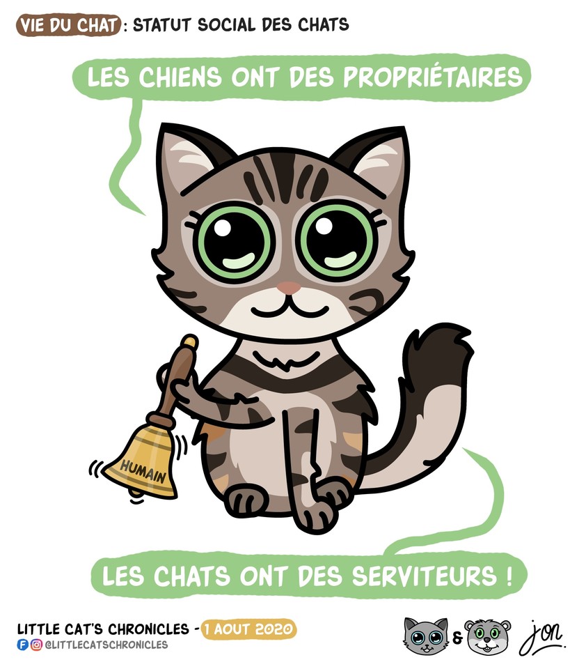 Blagues Et Dessins A Twitter Little Cat S Chronicles Vie Du Chat Statut Social Des Chats Retrouvez Jon Sur Le Site T Co Pswmelaicn Jon Dessindejon Littlecatschronicles Humour Chats Animauxdomestiques Littlecats Vieduchat