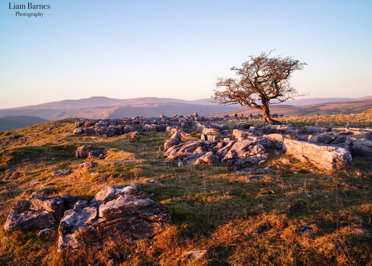 Liam Barnes Photography tweet media