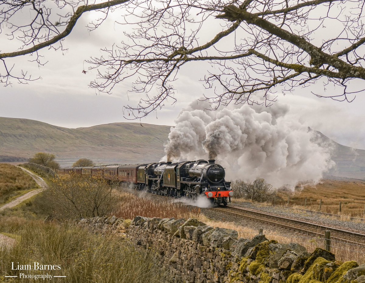 Liam Barnes Photography tweet media