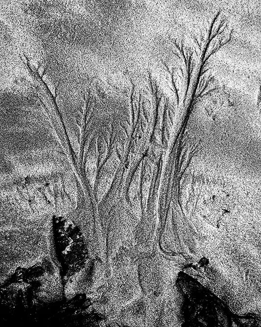 J'entre dans le monde de la #photo noir et blanc avec une série sur les traces sur le sable. Vous aimez ? Dites le moi et partagez. Merci