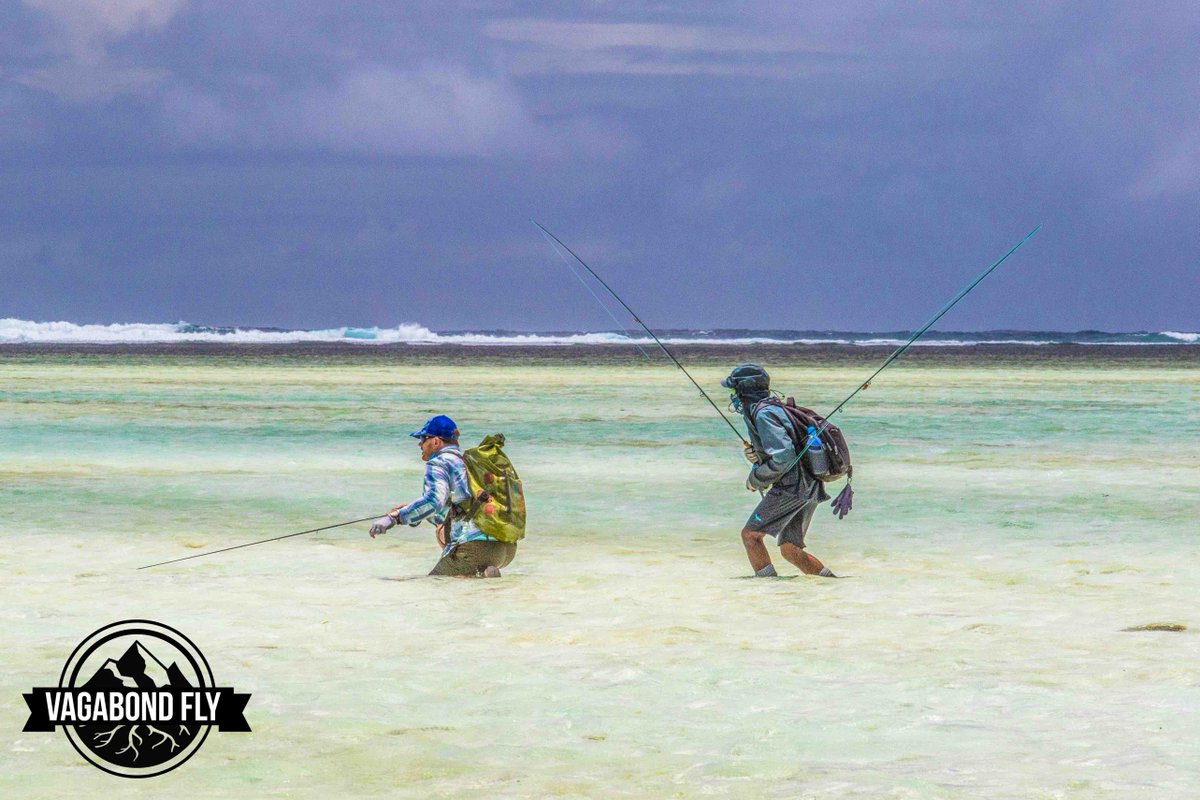 VagabondFly's tweet photo. When Bonefish are eating at the rod tip... everyone gets down like it's 1999!

#itonlycountsonfly https://t.co/7pA57EW7fG