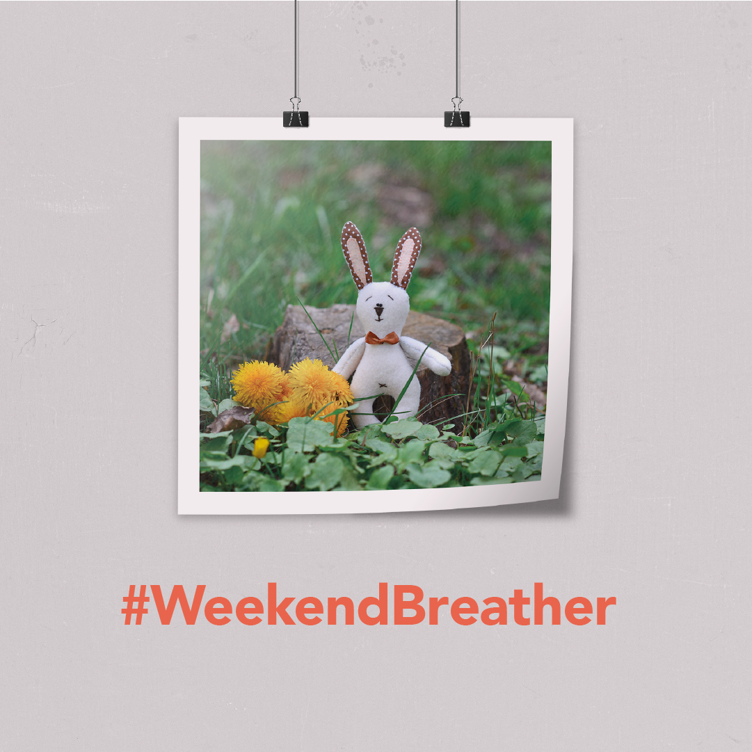 changedarer's tweet image. #WeekendBreather: Play and test your creativity with a hint of the #TorranceTest Let us know how will you improve this stuffed toy rabbit so that it will be more fun to play with it!

#DesignThinkingMethod #Marzavan #ChangeDarer #StuffedToys
