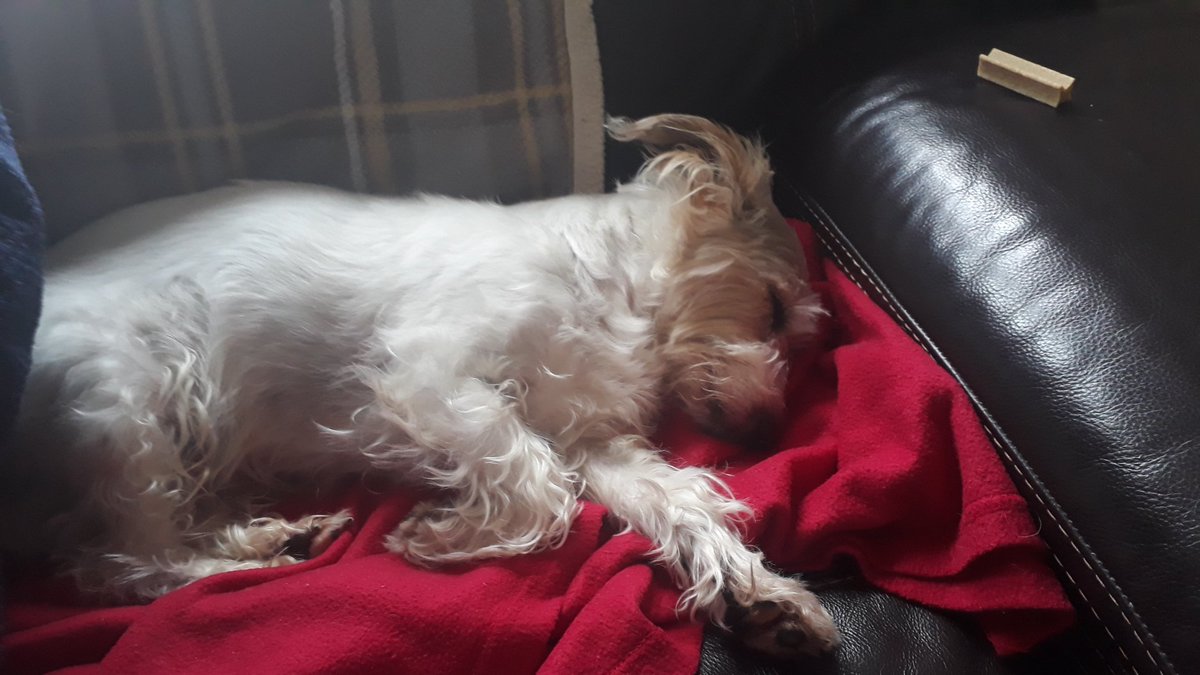 JoBerry69's tweet photo. This is what saturdays are for.... https://t.co/62nFLIjU99
