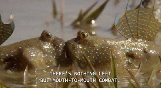 enemies to lovers b like