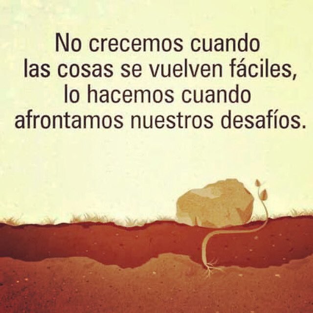 OposicionesCPO's tweet photo. Afronta los desafíos para crecer y superarte. Vamos 💪🏼

🍀CPO

#oposición #oposiciones #academiamálaga #fuerza #valentía #futuro #sueños #sueño #academia #málaga #cpo #exito #trabajo #piensaengrande #continua #superarproblemas #trabaja #adelante #tupuedes #mundomejor #suerte https://t.co/LAgTJWIvRK