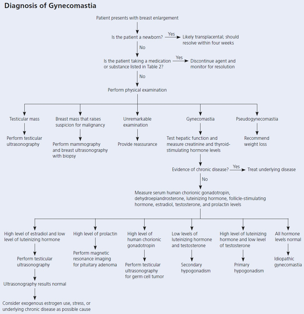Diagnosis of Gynecomastia !!