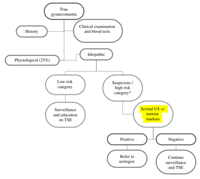 Approach to gynecomastia with testicular mass:(Hassan, H.C,2008