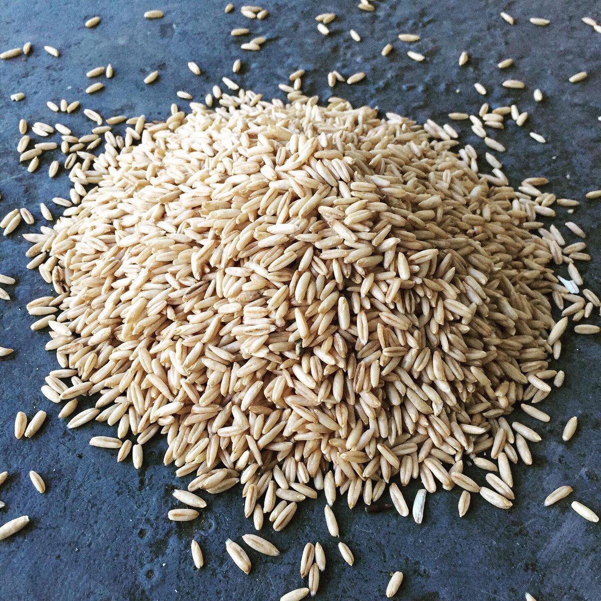 RICE?!  UK grown long grain rice? ⁣⁣Well, no...* This is another incredible cereal that grows beautifully in the UK, replaces long grain rice, tastes better and is extraordinarily nutritious. This is RICE OF THE NORTH!⁣