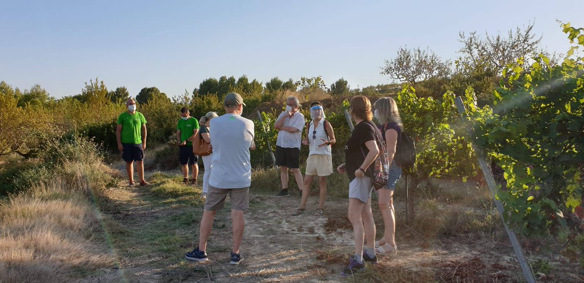 coopviver's tweet photo. Ayer hicimos #lapieldelavid una de nuestras actividades de #enoturismo de verano.
El punto culminante es la cata de 3 vinos en el propio viñedo.
#lostardeosdelacoop
#vinodeautores
#CoopaViver30añoscultivandofuturo https://t.co/VUI4HhMH3H