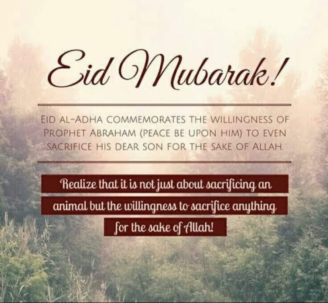 Mirrahmat@gmail.com tweet media