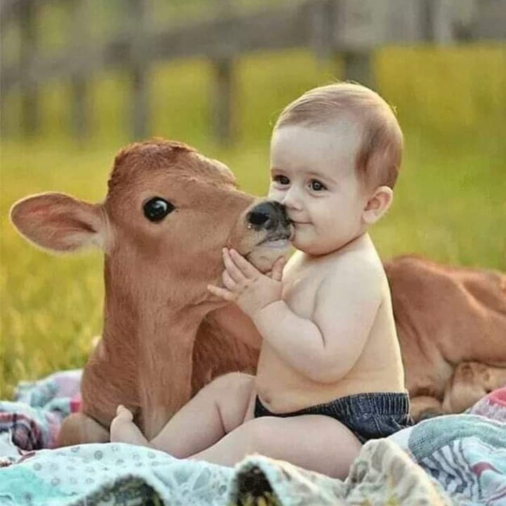 IbnaNajeeb's tweet photo. #NewProfilePic https://t.co/evfURtCy9l