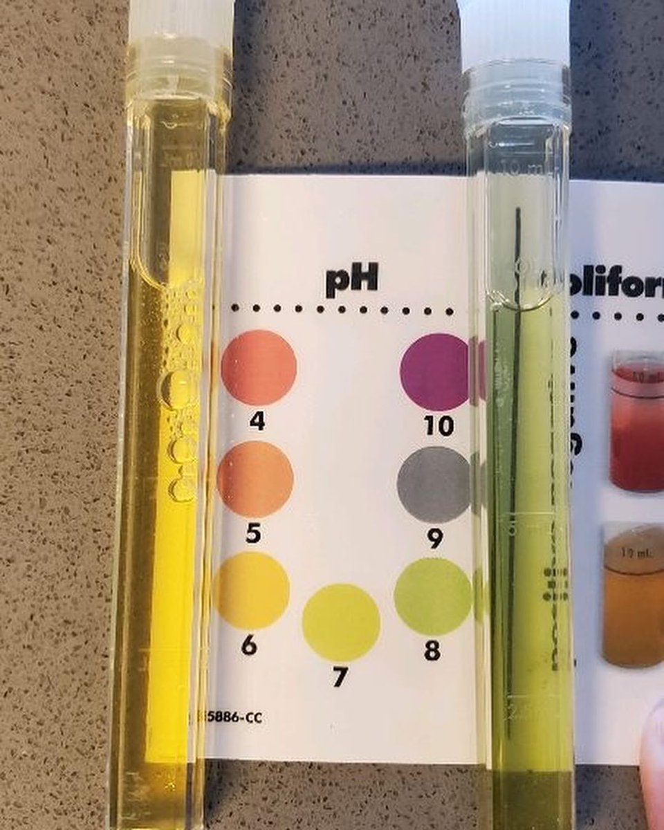 First2Network's tweet photo. Virtual Summer Immersion students from @WestVirginiaU testing their local water sources to check water quality!
.
What experiments do you think we can design and model from #WestVirginia waterways?
#firstgen #first2network #stem #WVSTEM #education #Science #research #STEMed https://t.co/C1Qua8Yfgq