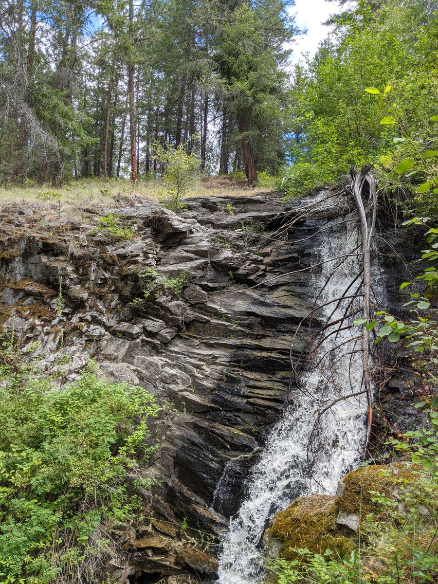 I got one hike in while I was on vacation - 6.5km along Okanagan Lake. Was hoping for more, but full days with the kids lakeside was more fun anyways.  #MentalHealthHikes