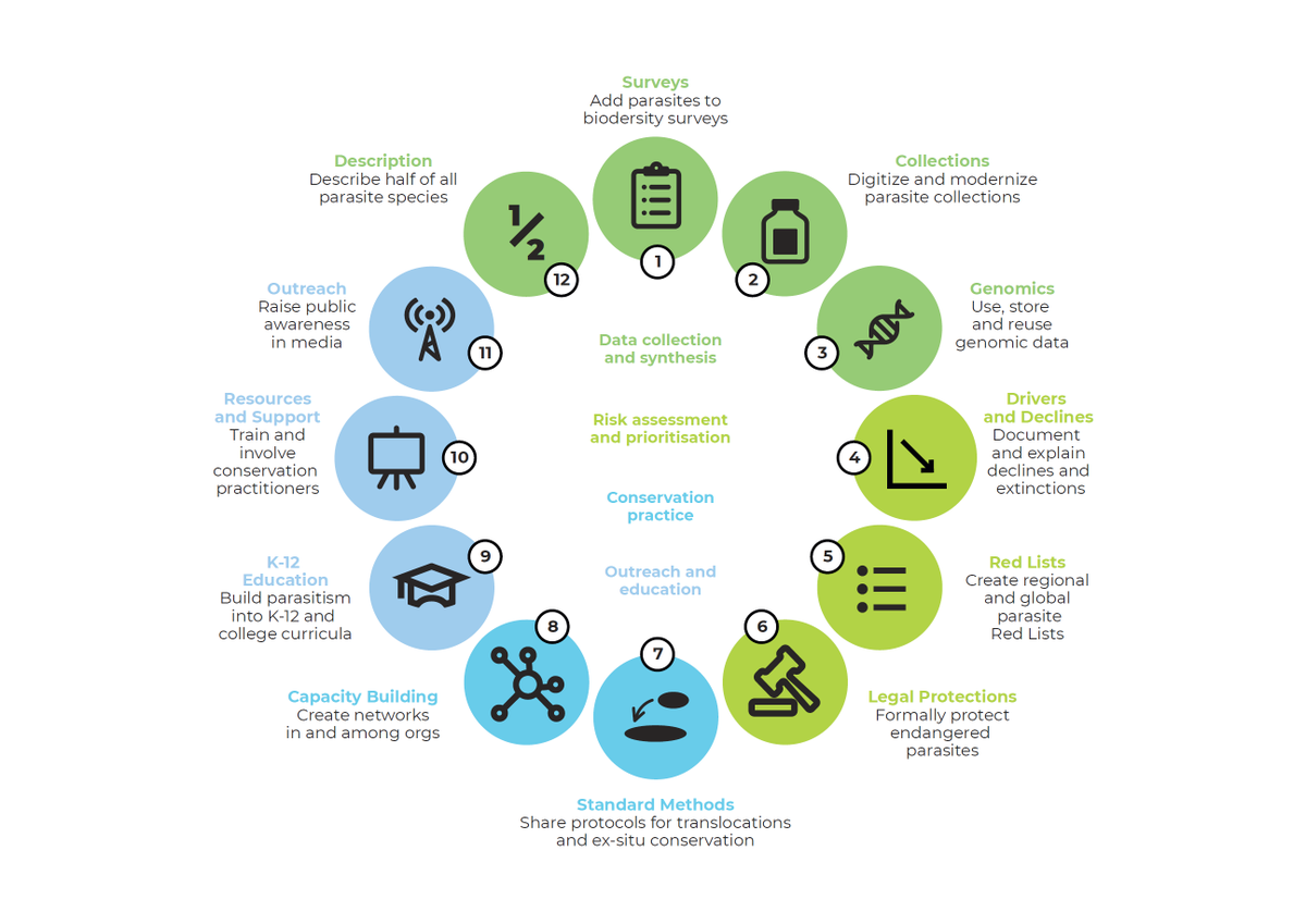 ColinJCarlson's tweet photo. 🪲 OUT NOW 🪱: the Global Parasite Conservation Plan.

A couple years in the making, the Plan is a white paper that synthesizes the subfield, and how we take it from a value (parasites are worth saving) to a practice and subdiscipline, through 12 goals:

https://t.co/evLzIaG0zb https://t.co/GbxTdE9Cve