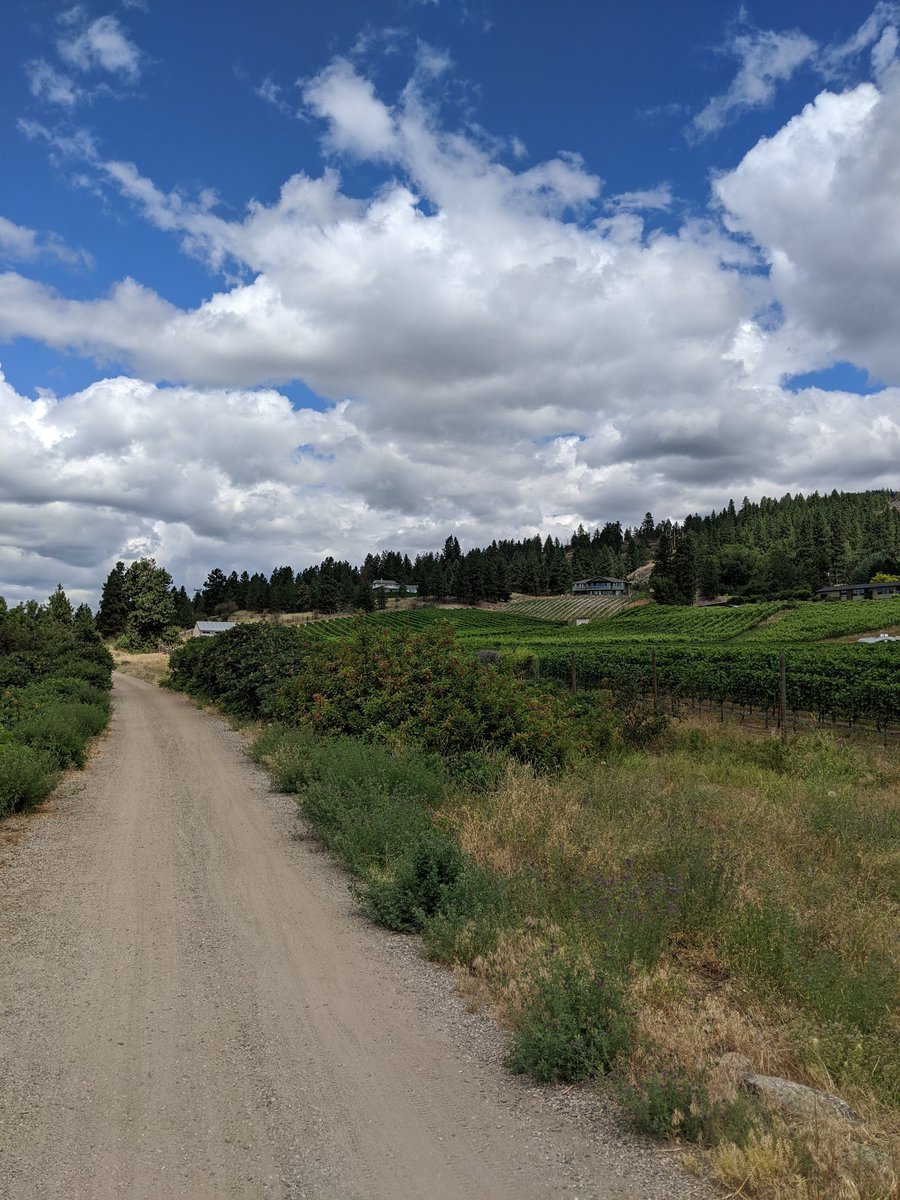 I got one hike in while I was on vacation - 6.5km along Okanagan Lake. Was hoping for more, but full days with the kids lakeside was more fun anyways.  #MentalHealthHikes