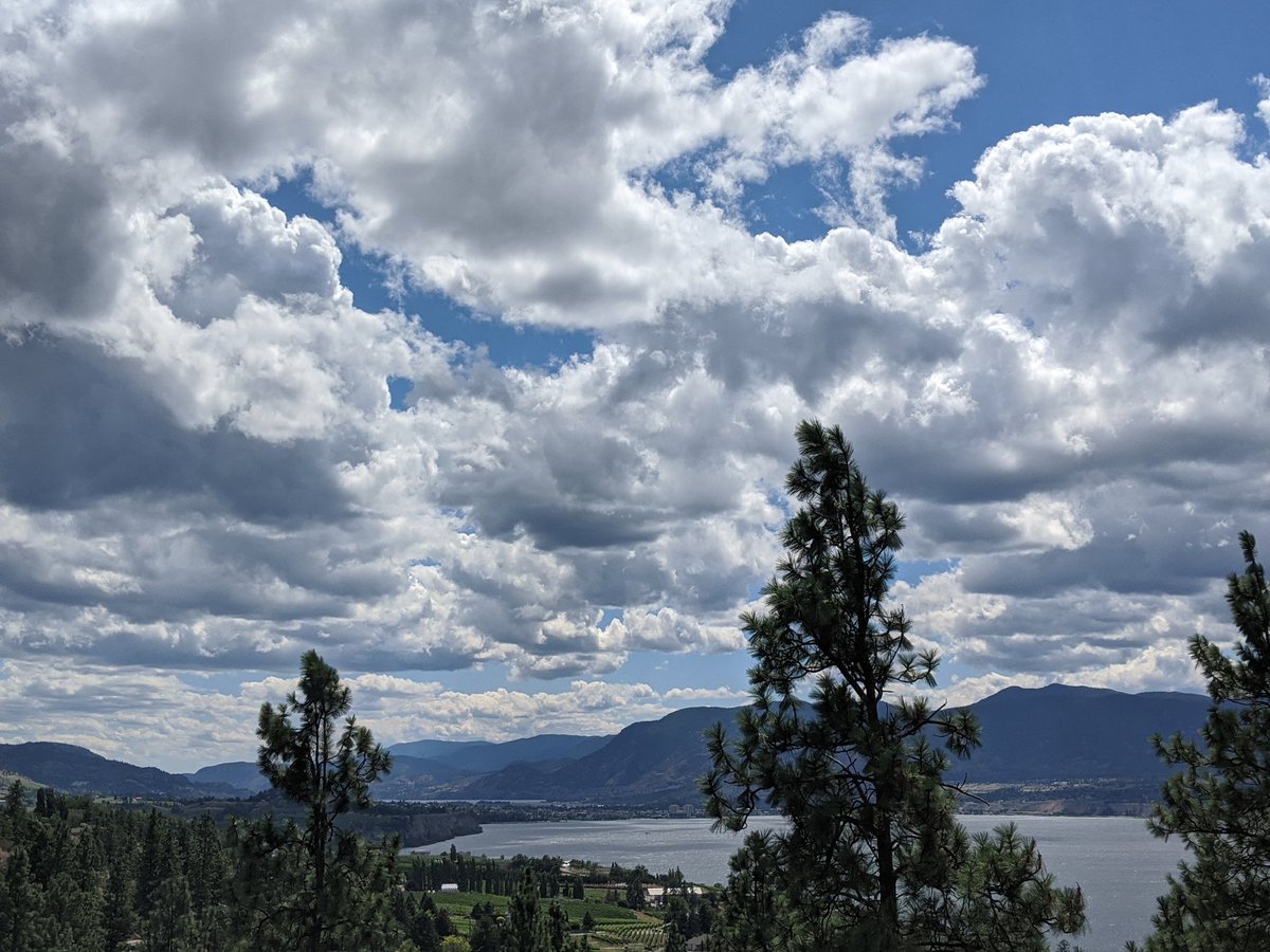 I got one hike in while I was on vacation - 6.5km along Okanagan Lake. Was hoping for more, but full days with the kids lakeside was more fun anyways.  #MentalHealthHikes