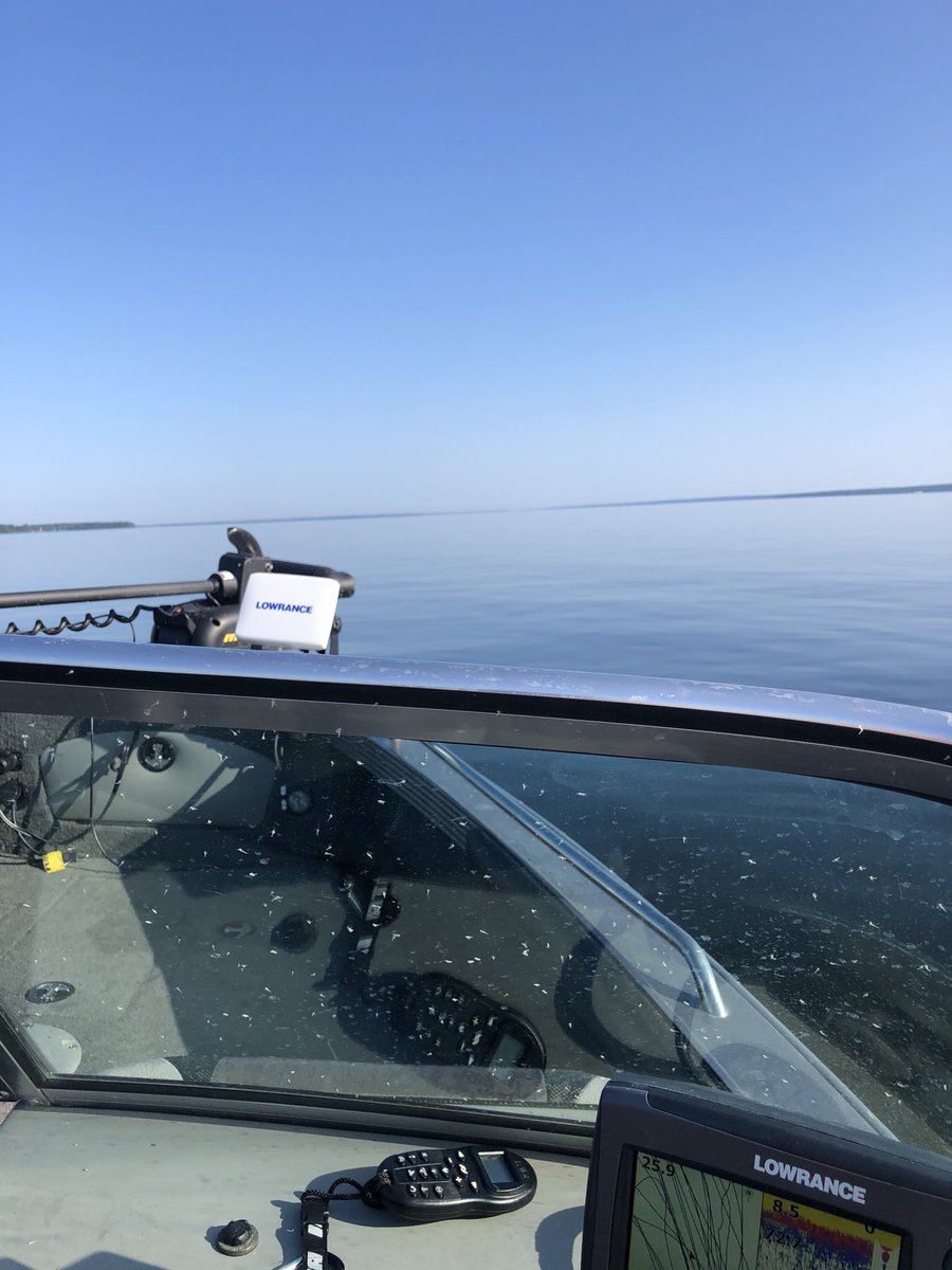 Smitty8348's tweet photo. A Twitter worthy picture from Candle Lake!!   On a quest to introduce myself to a big fat Walleye. https://t.co/r30uMJBHSL