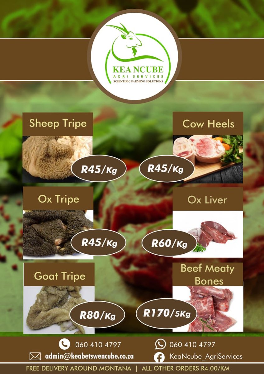 DrKea_Ncube's tweet photo. #KeaNcubeAgriServices supplies fresh and clean mala mogodu for all the yumness on your plate...
Contact 0604104797 for orders.
#Offals
#FarmToFork
#DrK
#TheGoatScientist https://t.co/d65j8mwxYz