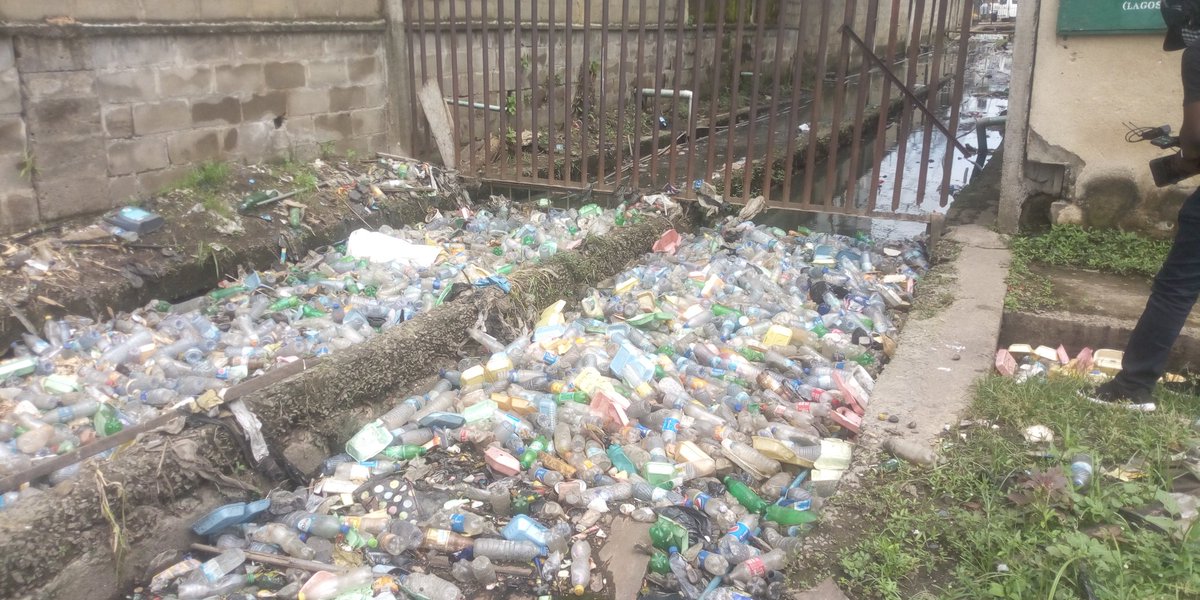 taiwoadewole's tweet photo. @Wildlife_A_CREW @foto_smith @SWEEPFoundation @FelixWildlife @lagcomyouth @MOmodunbi @BabaSadiq4 @LagWaterkeeper #CleanLagosLagoon @LagWaterkeeper https://t.co/RZDJZhWnQq