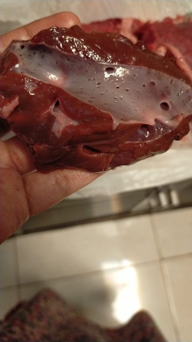 shimjakeuu's tweet photo. ❗❗❗❗
Yang kmren dapat hati dari qurban coba dicek lagi apakah hatinya bolong2 atau ngk? Kalau iya hatinya jangan di konsumsi ya, sedangkan untuk bagian yg lainnya boleh https://t.co/50zWIaIFIO
