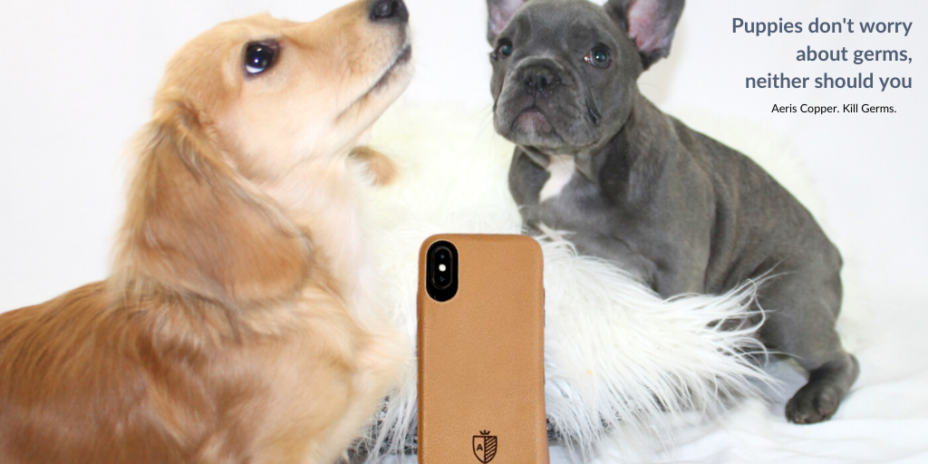 goalloi's tweet photo. Take one more thing off your mind with a Copper Case.
Kills germs on contact to help protect you 24/7.
Also, puppies.
#coppercase https://t.co/DrvoNpAEtn