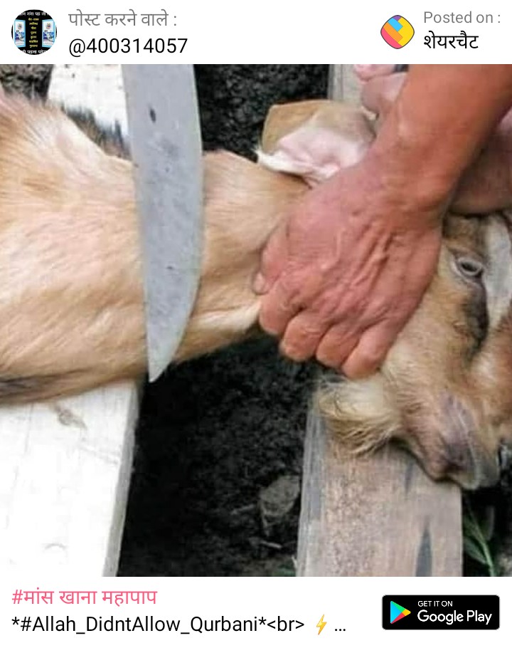MalaSha49512683's tweet photo. #Allah_DidntAllow_Qurbani
बाखबर का संदेश
यदि हलाल करने का शौक है तो अपने काम, क्रोध, लोभ, मोह, अहंकार आदि बुराइयों को हलाल कर, खत्म कर। अल्लाह के लिए समर्पण भाव से सत्य भक्ति कर, यही वास्तव में कुर्बानी है।
अधिक जानकारी के लिए Satlok Ashram Youtube चैनल पर visit करें" https://t.co/Ate0fqsa7n