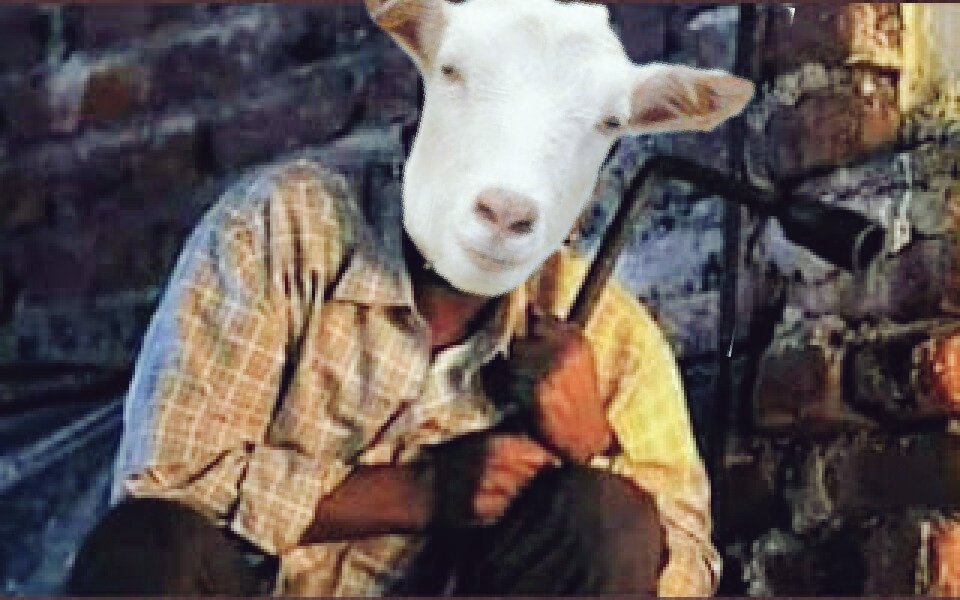 vivek_chintuu's tweet photo. No one:
Bakra: I hope these murderer's die the same way, with the same brutality, the way they have killed my family...
#BakraLivesMatter #BakraMangeAzaadi #NotInTheNameOfAllah #AllahDoesNotNeedQurbani https://t.co/LYePpc8nfN