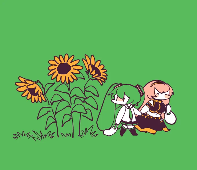 ?ヒマワリとミクルカさん? 