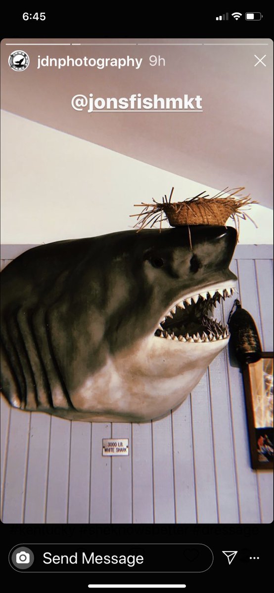 JanisKumpf's tweet photo. ⁦@DorindaMedley⁩ you need this for the fish room for Blue Stone Manor. Lol https://t.co/NnP02CmTjT