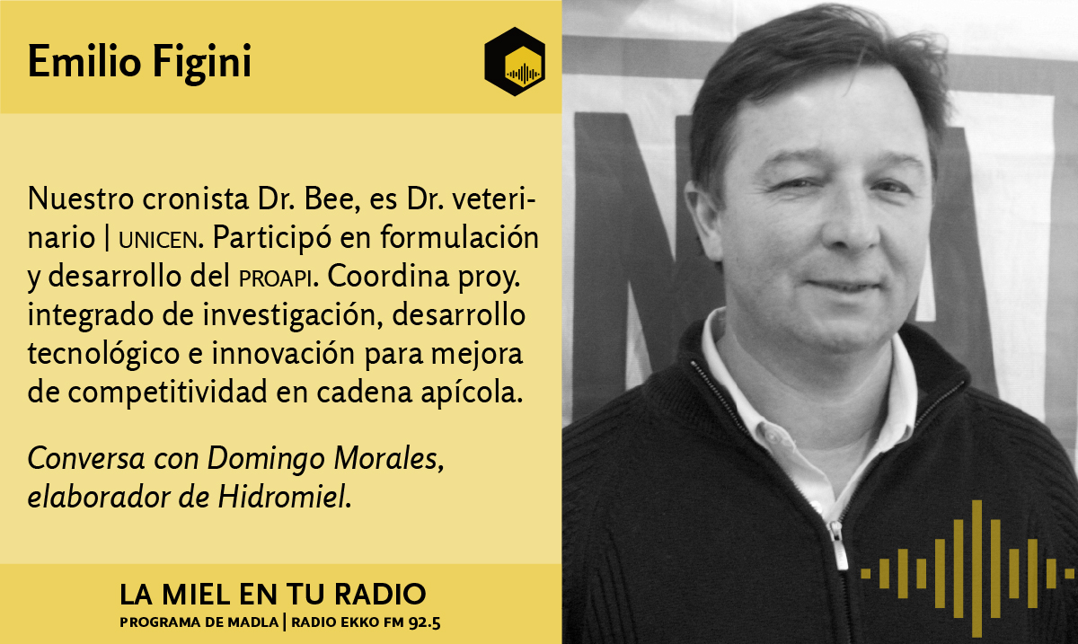 LaMielEnTuRadio's tweet photo. Nuestro cronista #DrBee es el Dr veterinario #EmilioFigini quien entrevista al enólogolo y elaborador argentino de hidromiel #DomingoMorales.
En diferido
https://t.co/9sGeWqRbiN
@REDLACaf @intaargentina @INTAInforma @EspacioApicola https://t.co/huGICshxz8