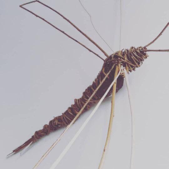 puffinpotteryleeds tweet media