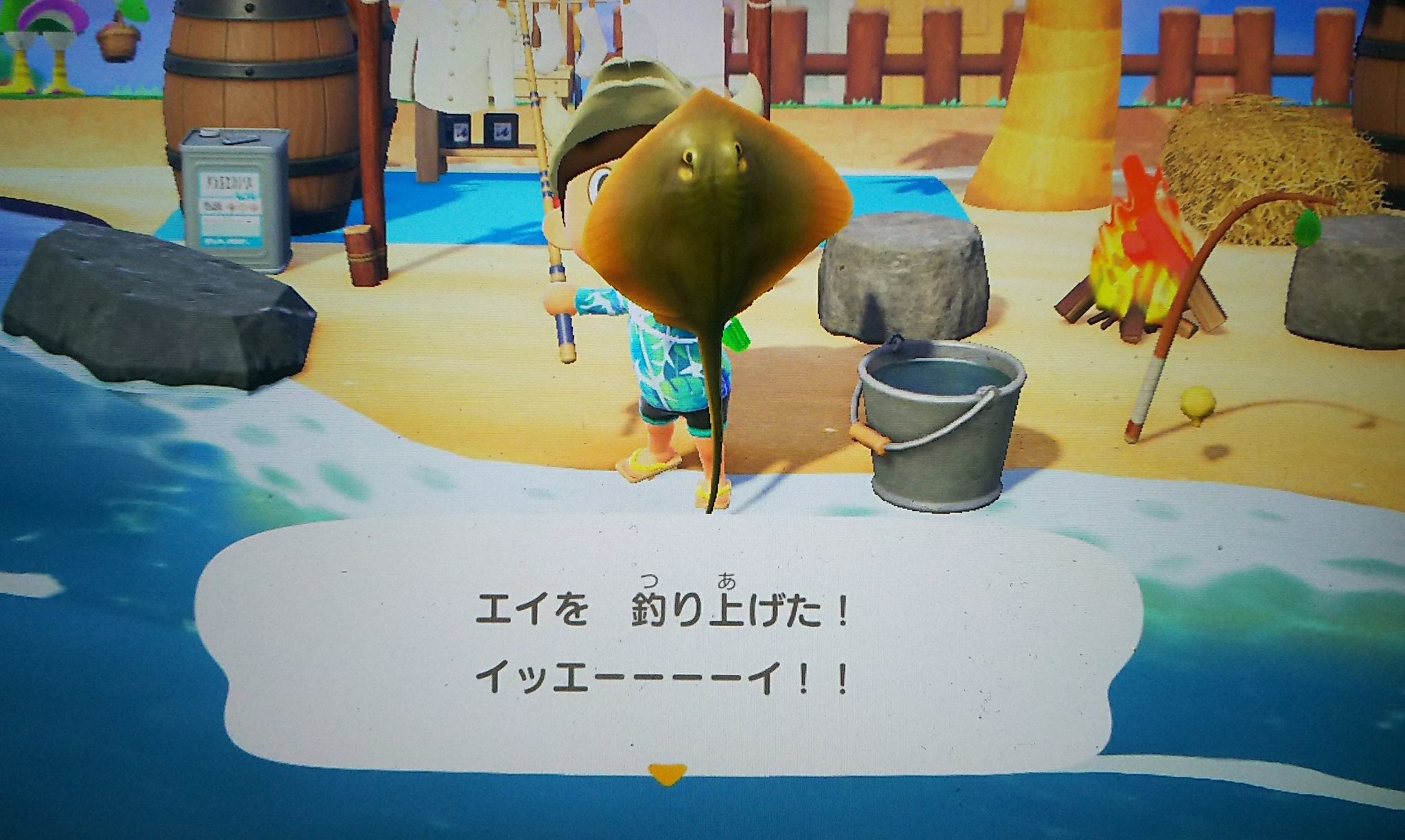 ジャイロ V Twitter あつ森 エイ ヒラムシをゲット 意外にもエイが中々釣れなかった