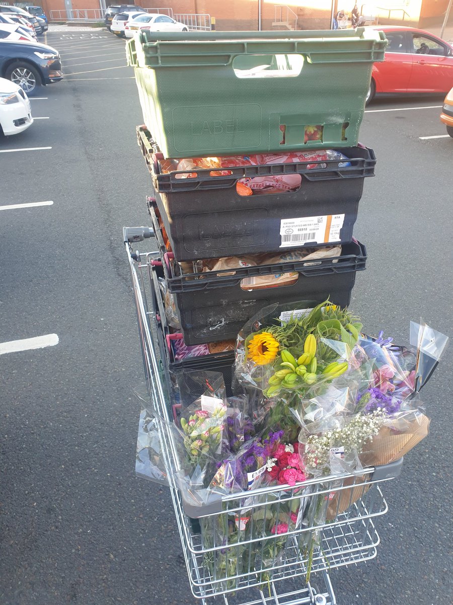 David Morgan 💛 tweet media