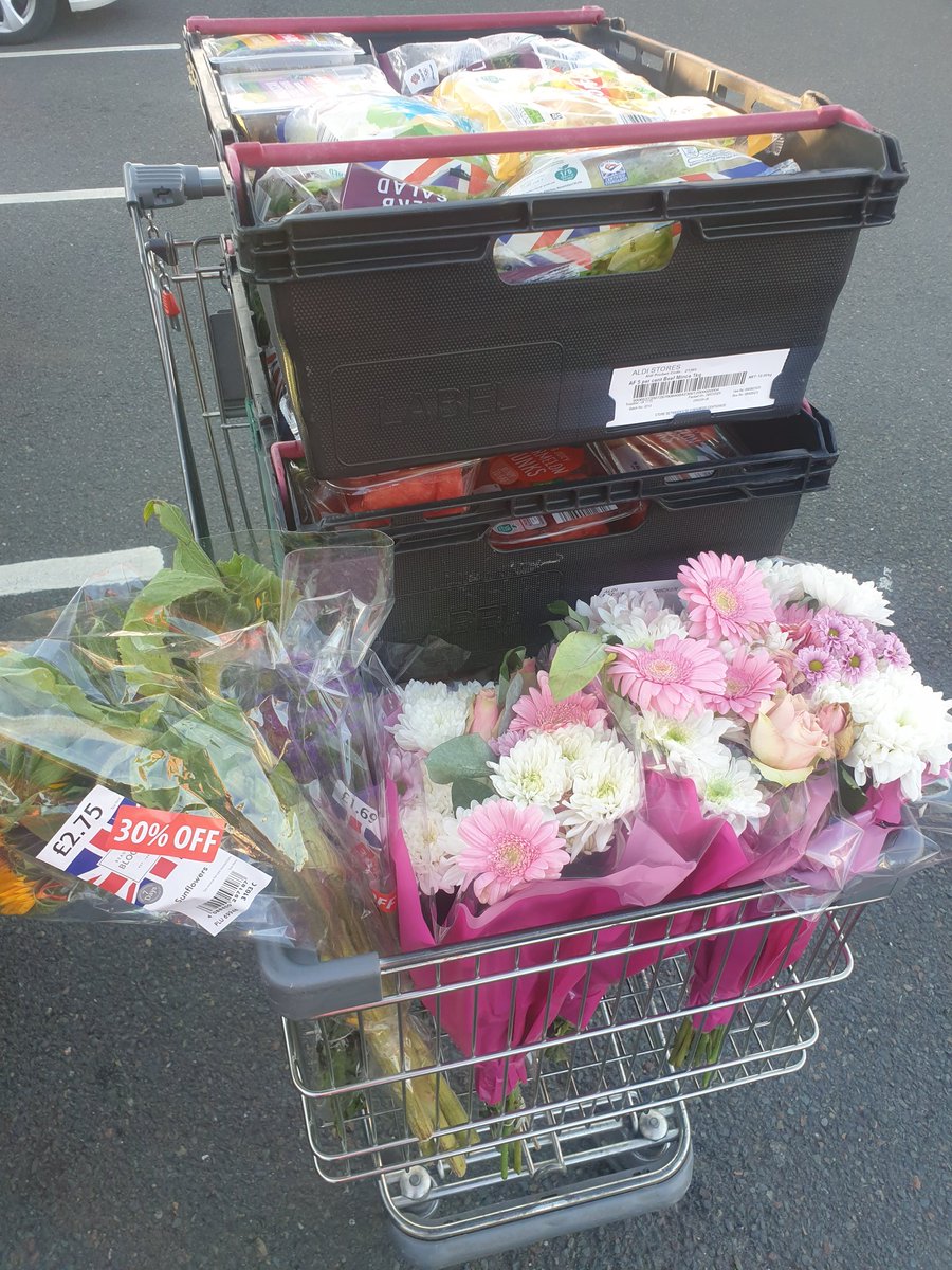 David Morgan 💛 tweet media