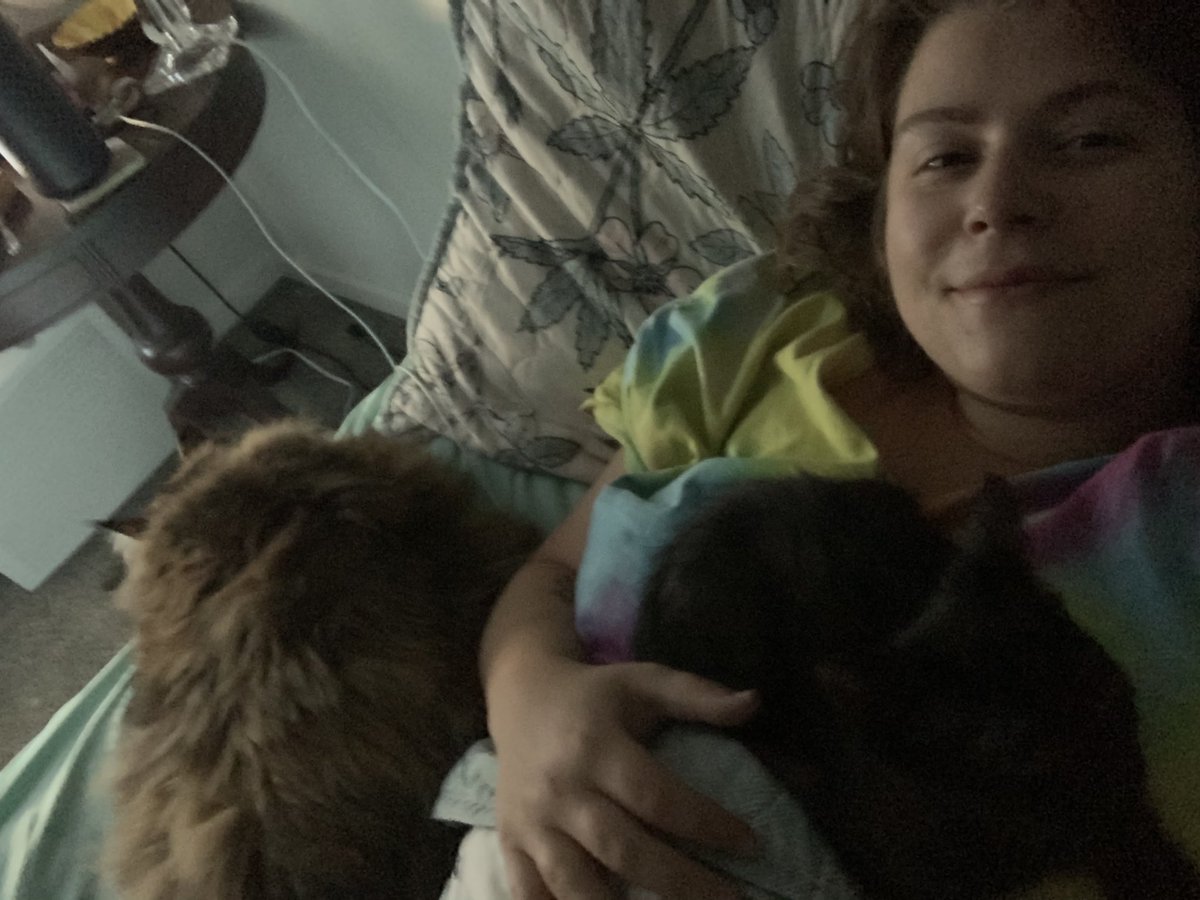 number1catmama's tweet photo. I have kirsten sleeping on my left, my cat sleeping to my right, and our kitten sleeping on my chest. I’ve never experienced a more perfect moment https://t.co/MtRL1wZ5fw